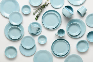A collection of light blue ceramic plates, bowls, and mugs arranged on a white surface, with a sprig of green foliage in the center.
