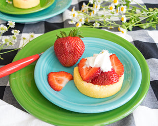 Appetizer Plate - Fiesta Factory Direct