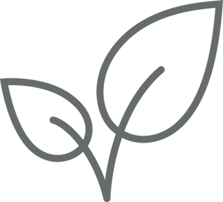 Simple line drawing of two leaves on a stem, with one smaller leaf on the left and a larger leaf on the right, set against a light gray background.